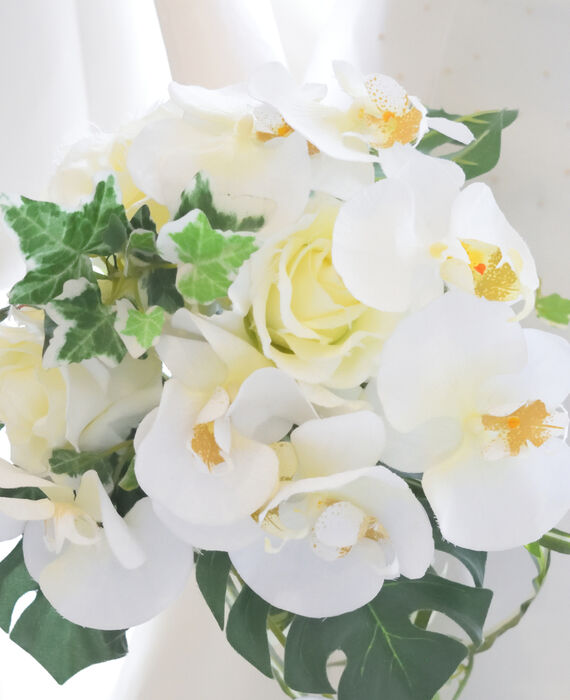 AdobeStock_210282267 (1)